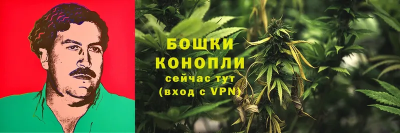 Где купить наркотики Порхов Лсд 25  Кокаин  А ПВП  Бошки Шишки  Меф мяу мяу  ГАШИШ 