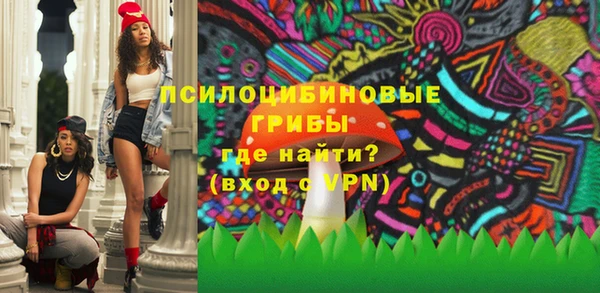 эйфоретик Пересвет