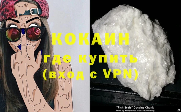 эйфоретик Пересвет