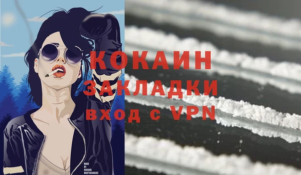 эйфоретик Пересвет