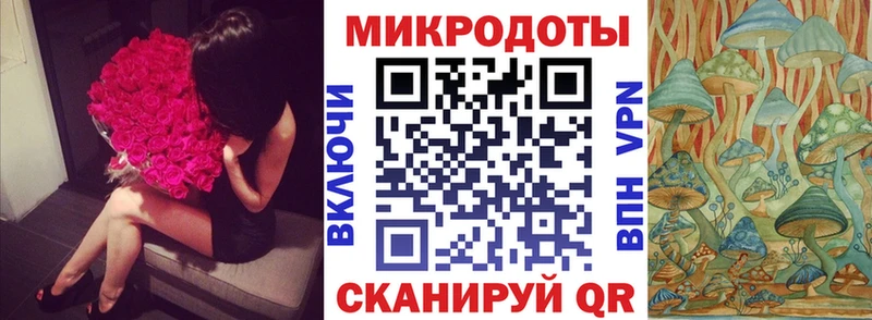 ОМГ ОМГ зеркало  Порхов  Псилоцибиновые грибы MAGIC MUSHROOMS 